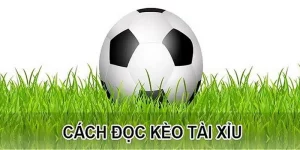 Cách đọc kèo tài xỉu