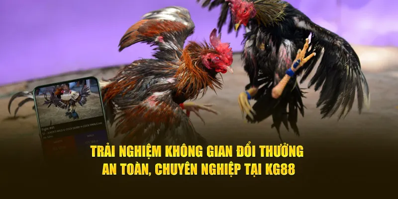 Trải nghiệm không gian đổi thưởng an toàn, chuyên nghiệp tại KG88